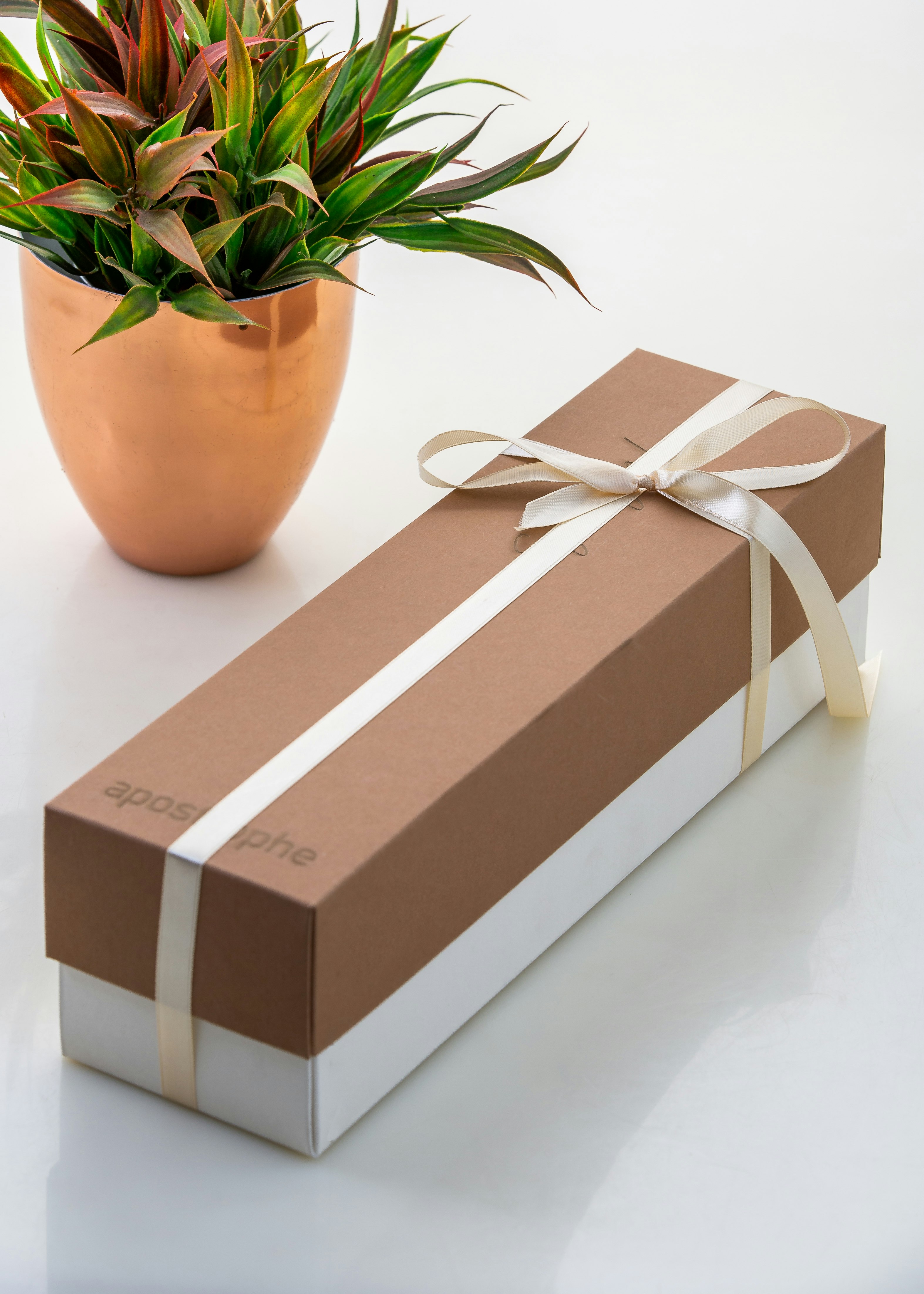 Apostrophe gallery image