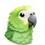 ParakeetAI