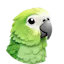 ParakeetAI