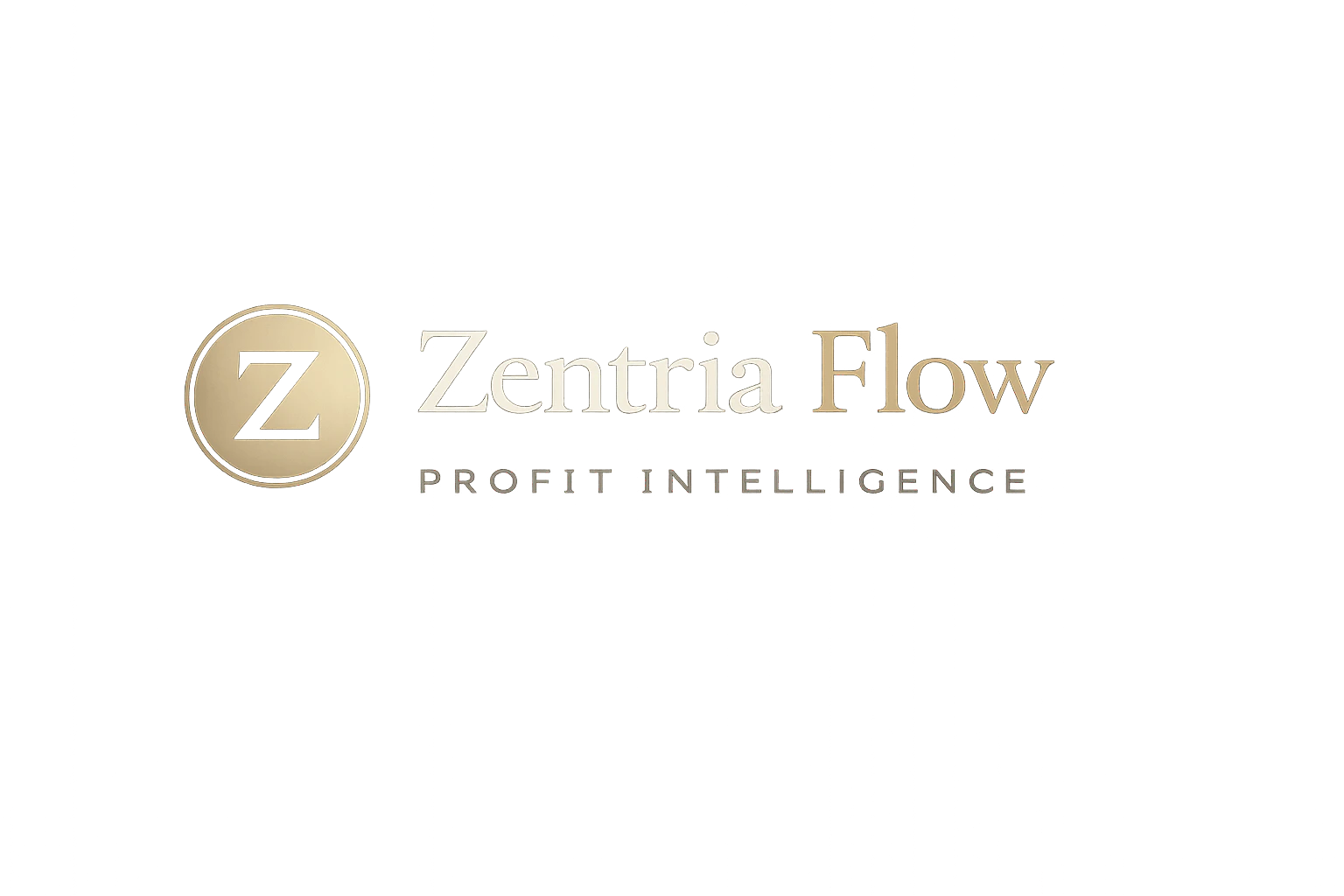 Illustrative hero image for the Zentria Flow review.