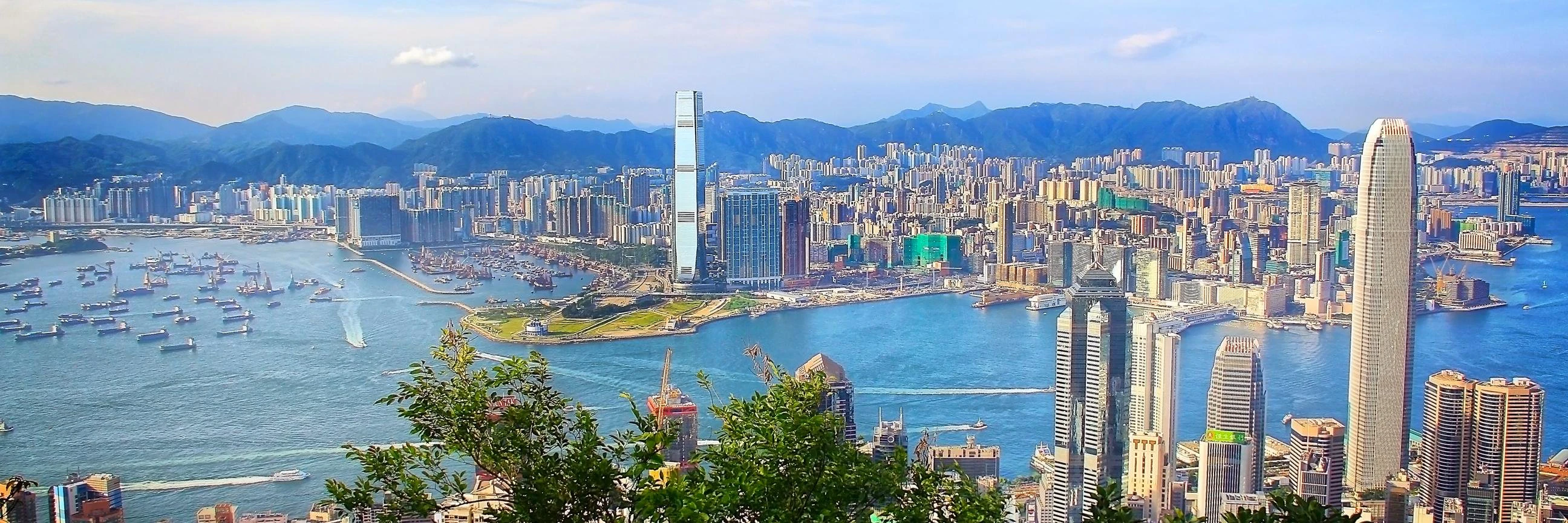 Bryan McAnulty cover