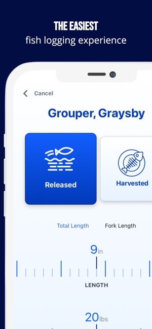 Fish Rules App gallery image