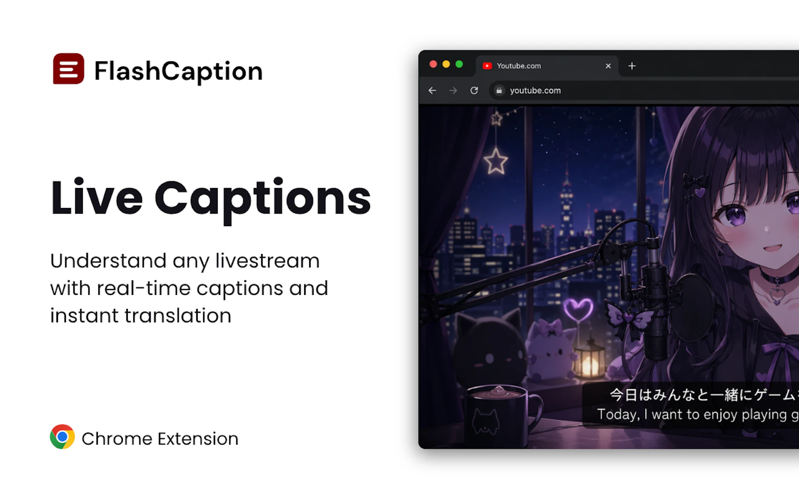Live Captions & Translation Extension screenshot 6