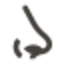 Nosejobsimulator logo