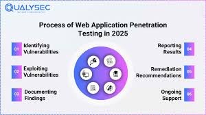 Web Application Penetration Testing screenshot 1