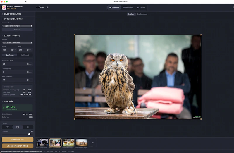 Canvas Print Hero screenshot 1
