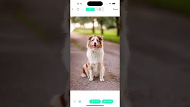 AI Remover - Remove Object, BG gallery image