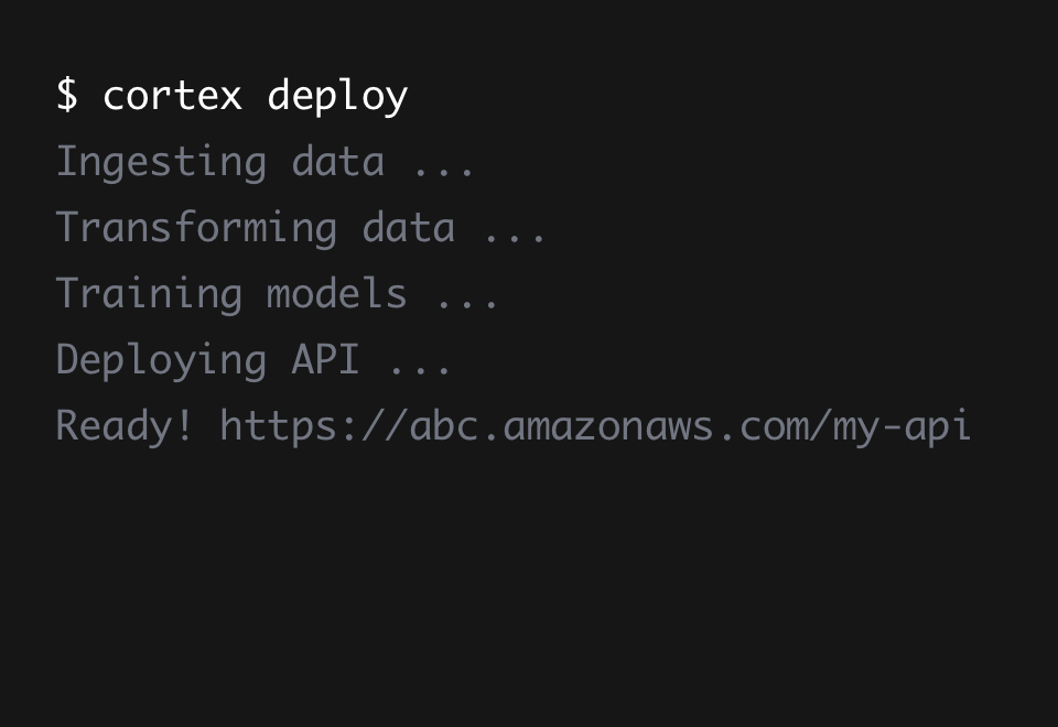 Cortex gallery image