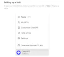 ChatGPT Task