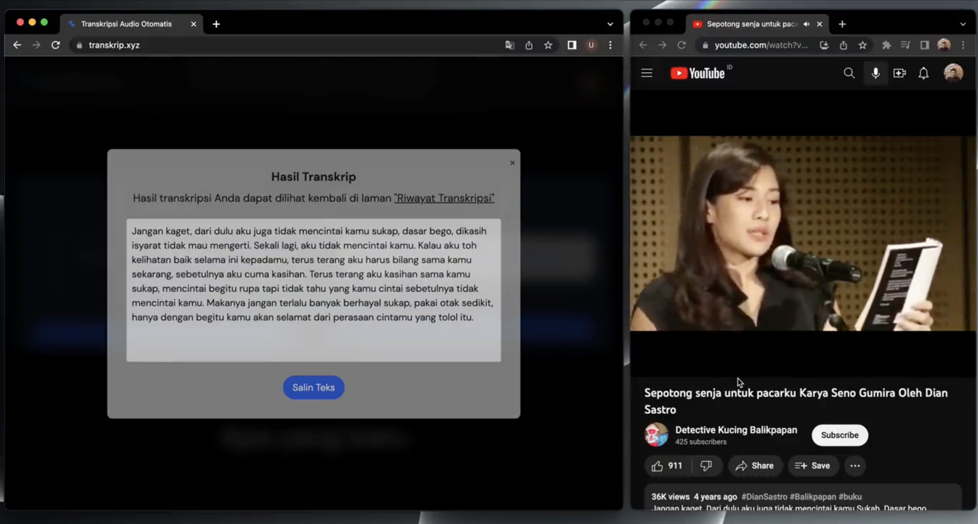 Média transkrip.xyz - Selon la douleur de la transcription audio 2