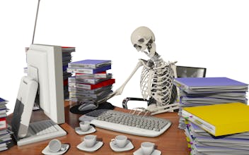 Skeleton Systems gallery image