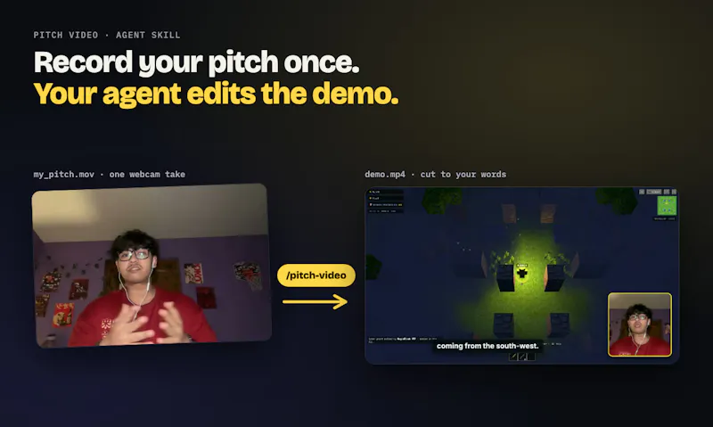 Pitch Video screenshot 3