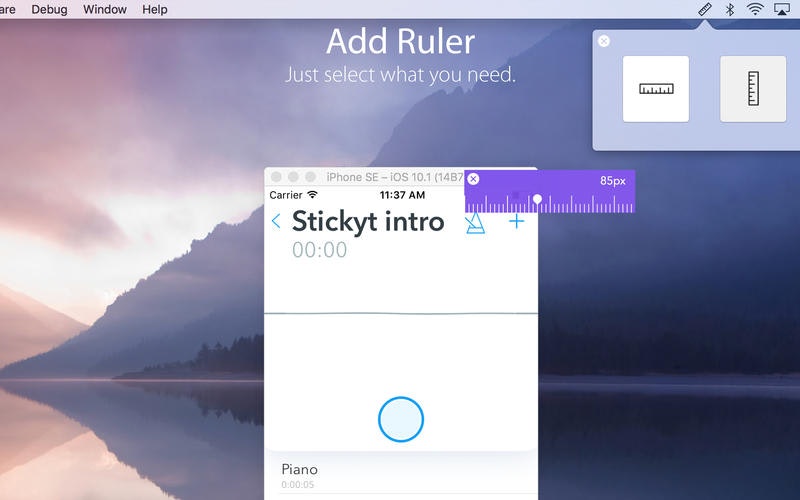 iRuler gallery image