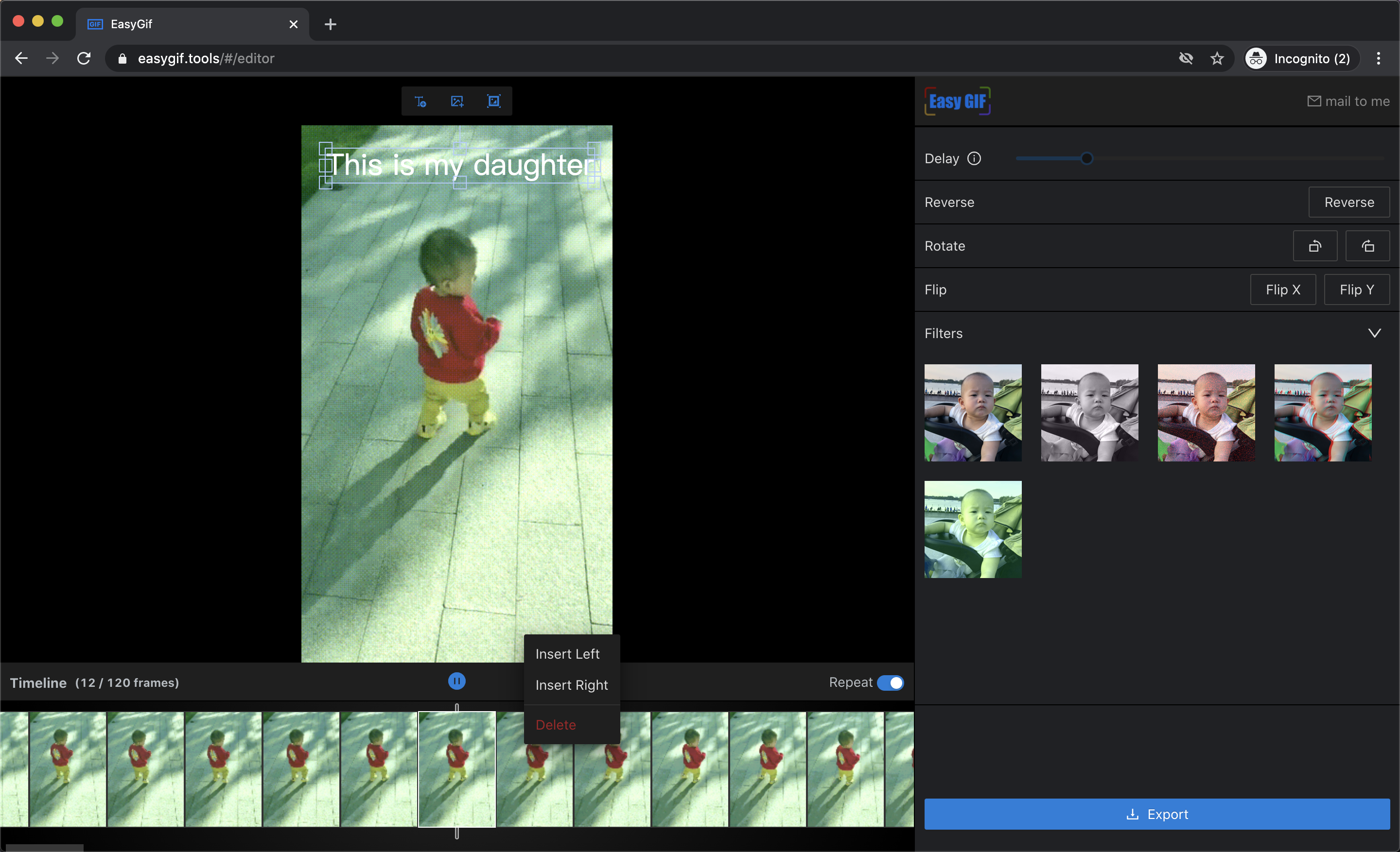 EasyGif gallery image