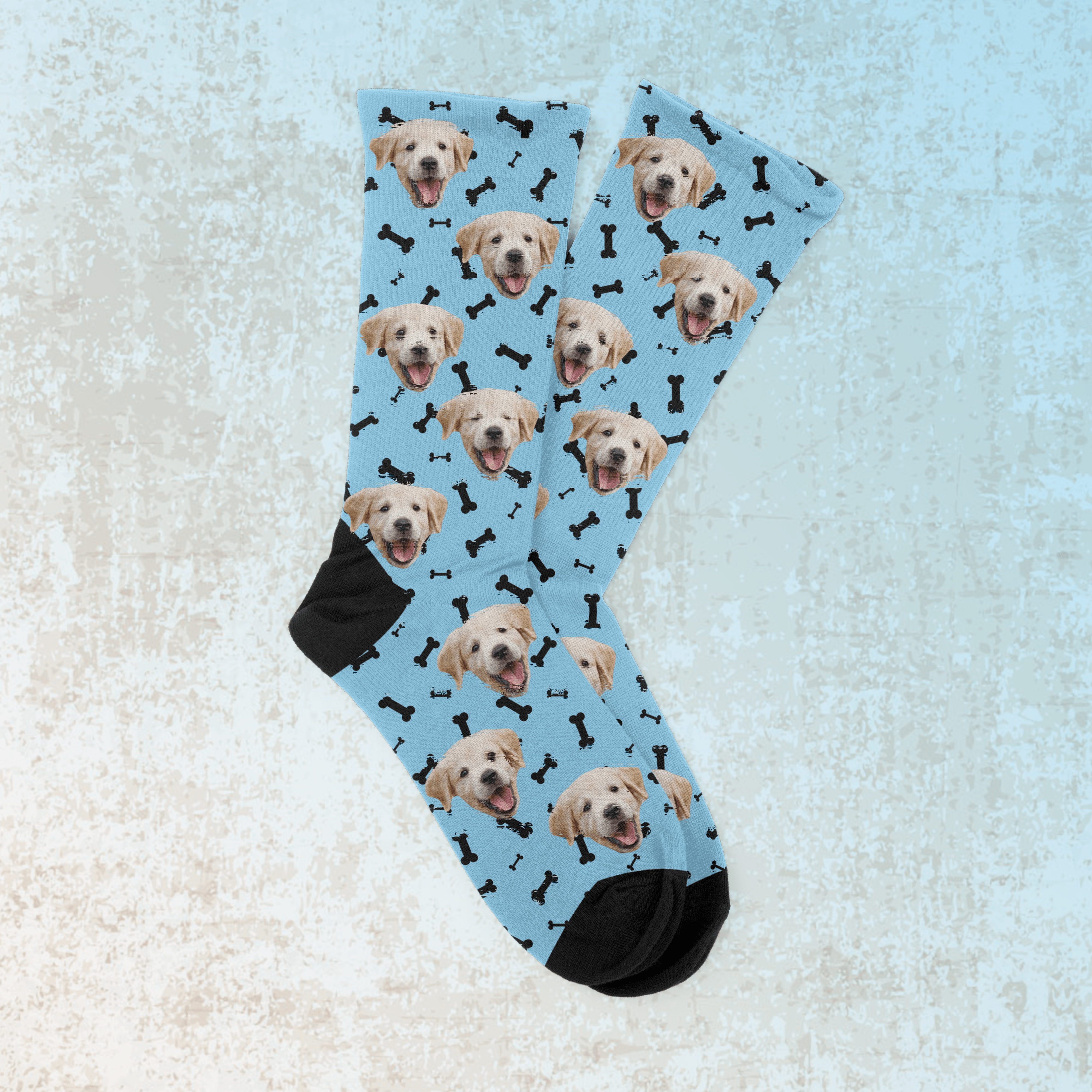 PetSox gallery image