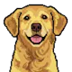 TabDog