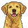 TabDog