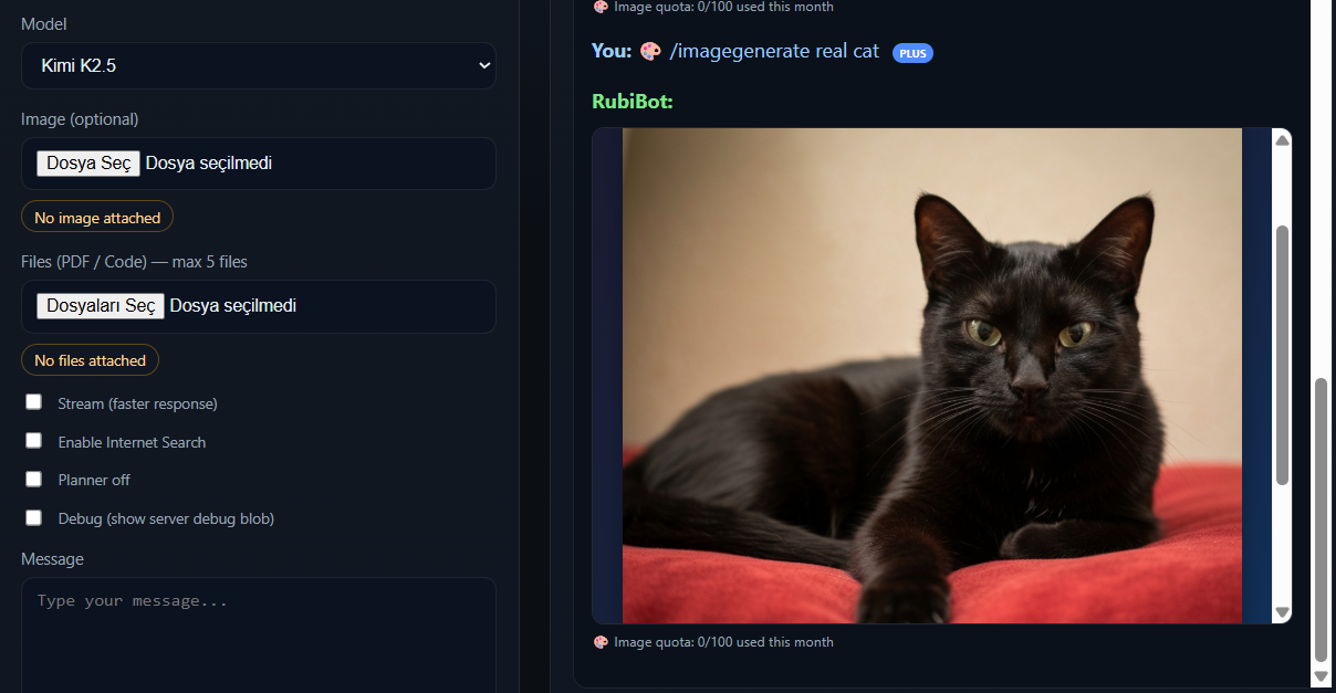 Rubibot & Human like Proto AGI gallery image