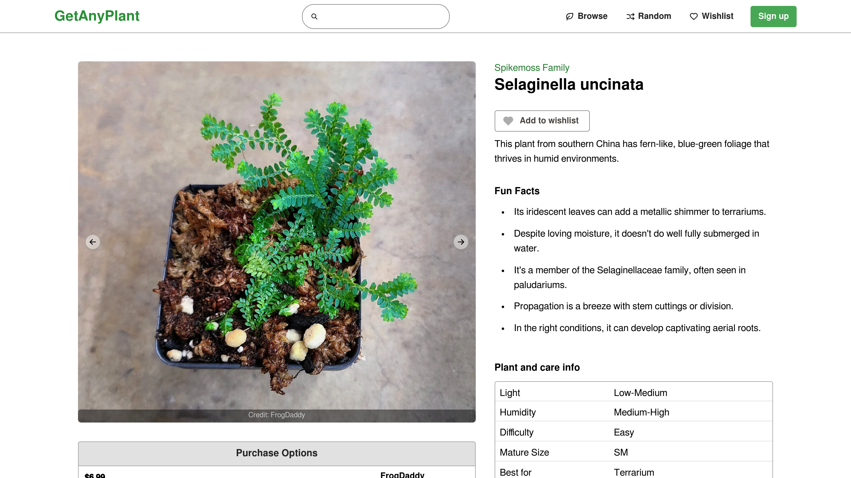 Getanypplant - Un nuovo modo per esplorare e scoprire le piante media 2
