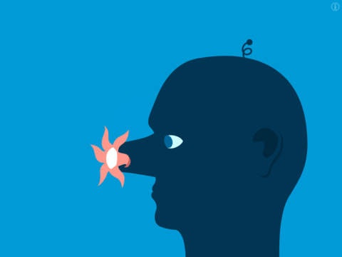 Feed The Head gallery image