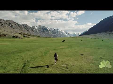 MyTree gallery image