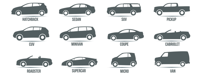 Kiwi 4 gallery image