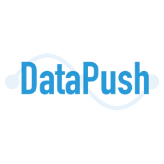 DataPush - Product Hunt launch logo and brand identity