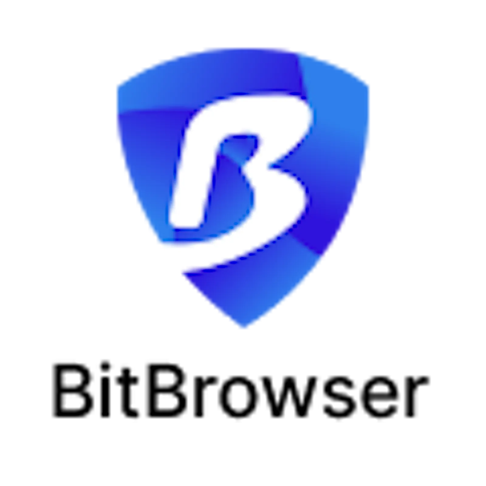 BitBrowser screenshot 5