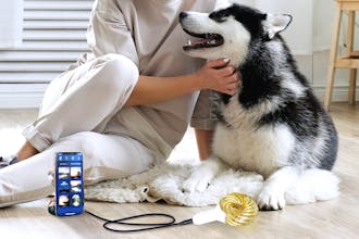 Qi Coil™ Mini - Meditation Made Easy gallery image