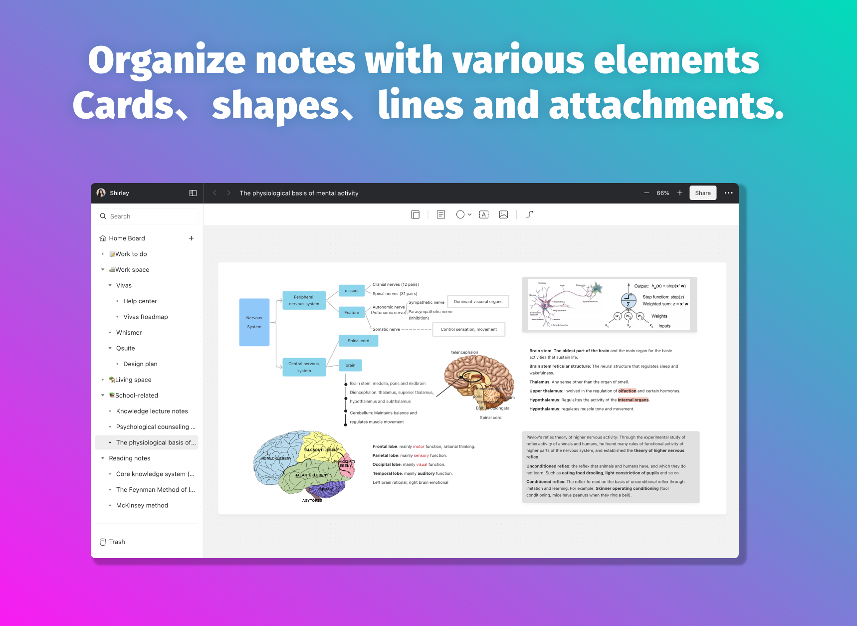 Vivasnote media 3