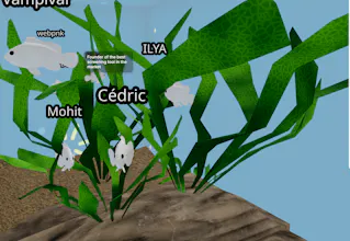 Community Aquarium gallery image