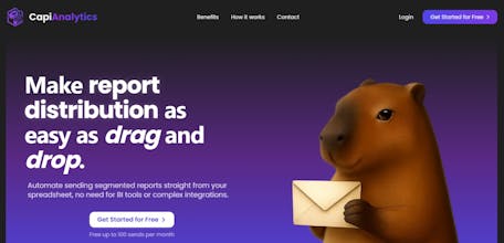 CapiAnalytics gallery image