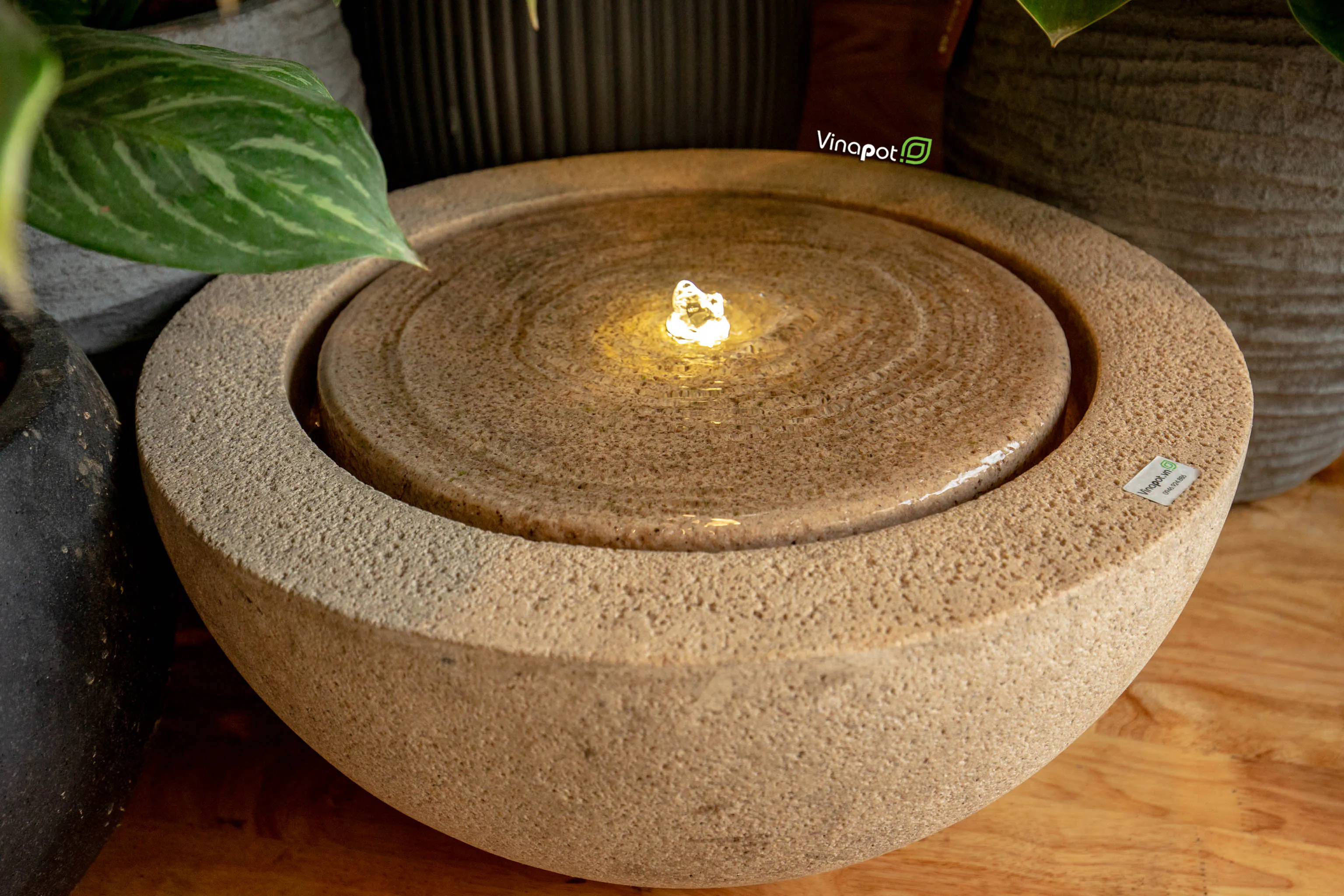 chậu cây cps