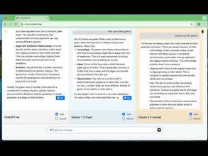 MultipleChat - Compare AI Responses gallery image