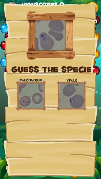 Malariaspot gallery image