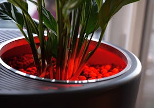 Urbie Air gallery image