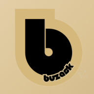 Buzask - Main product screenshot demonstrating key features and user interface