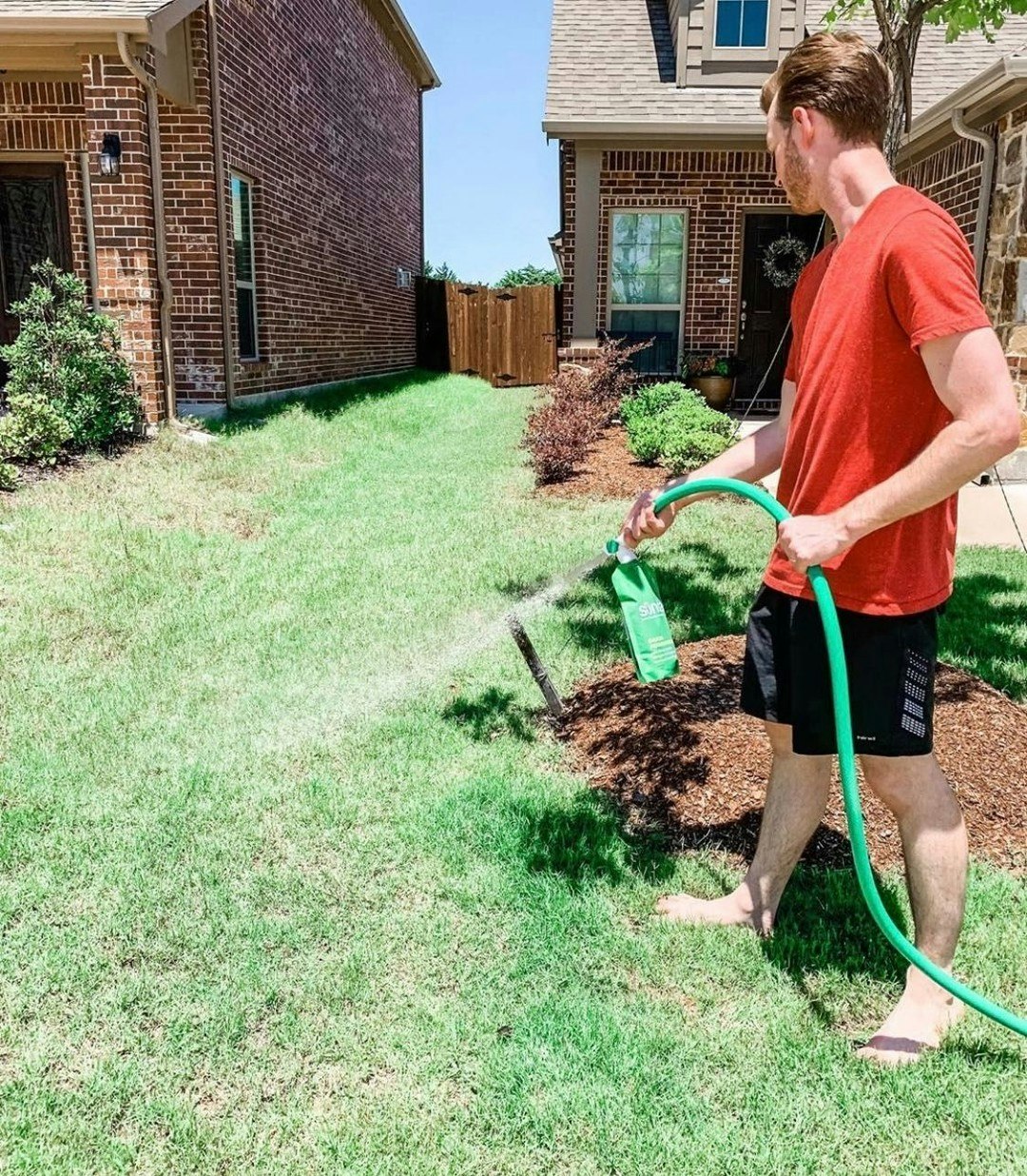 Sunday gallery image