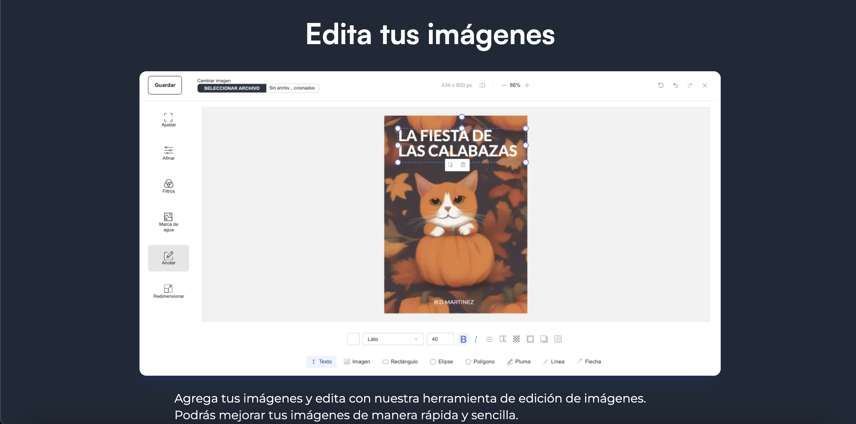 StoryCanvas gallery image