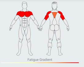 MuscleWiki Ai Workout Generator gallery image