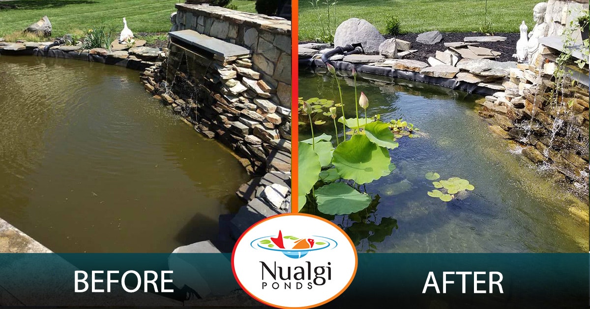 Nualgi Ponds Water Treatment gallery image