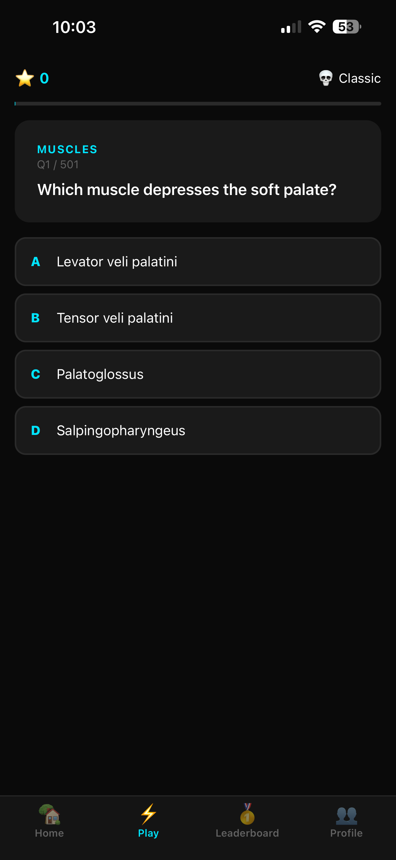 QInatomy gallery image