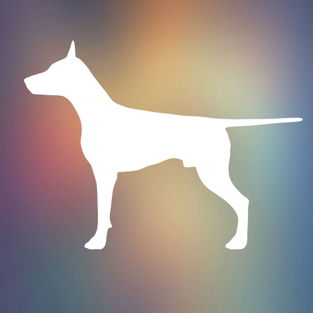 My Dog App Care my Dog Product Information, Latest Updates, and