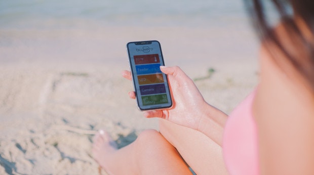 Bluenero gallery image