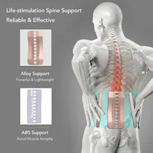 Back Brace for Lower Back Pain gallery image