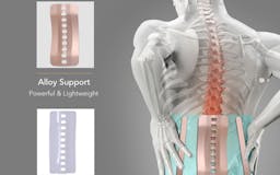 Back Brace for Lower Back Pain media 3