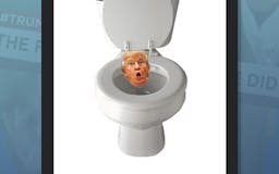 Trump Toilet Toss media 1