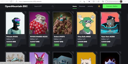 OpenMountain BSC gallery image