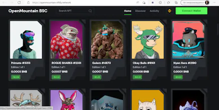 OpenMountain BSC gallery image