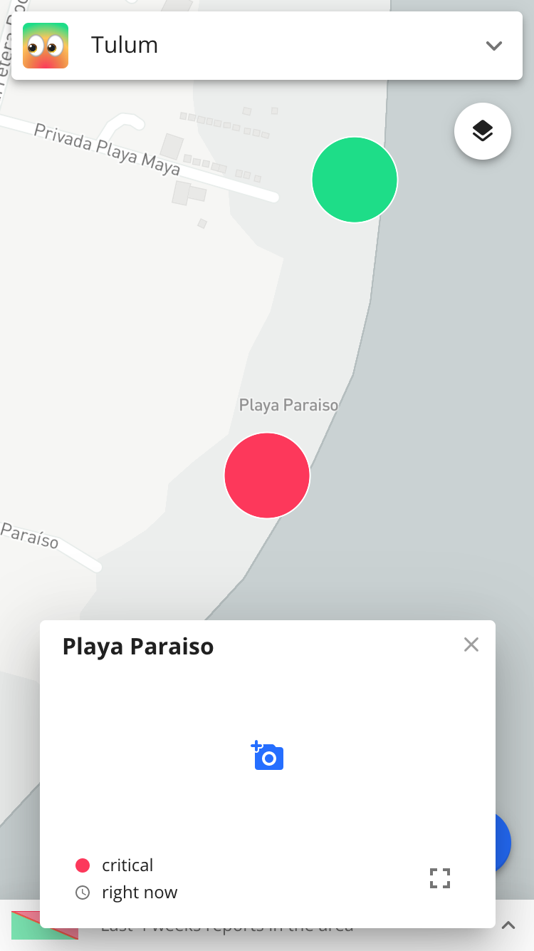 sargassum.watch gallery image